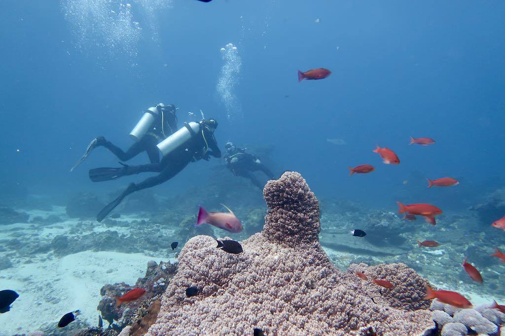 scuba diving day nusa penida bali warnakali